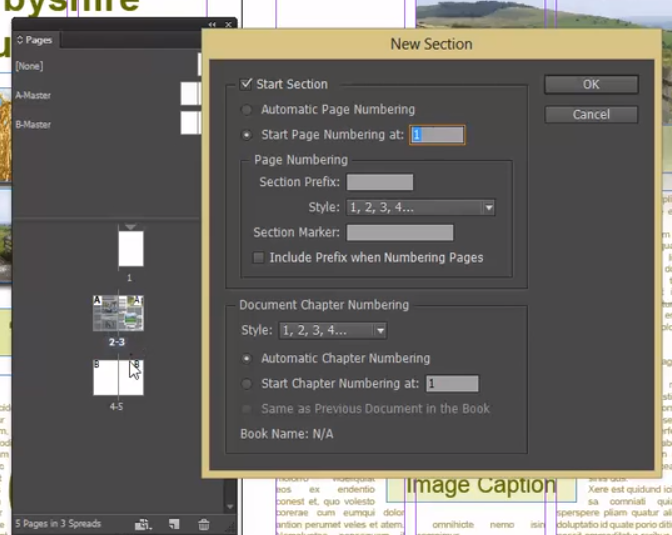 page numbering options adobe indesign